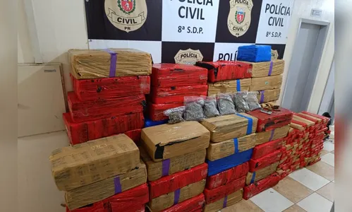 Forças de segurança apreendem mais de 5 toneladas de drogas no Paraná