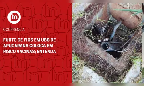 Furto de fios em UBS de Apucarana coloca em risco vacinas; entenda