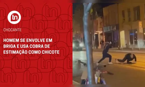 Homem se envolve em briga e usa cobra de estimação como chicote