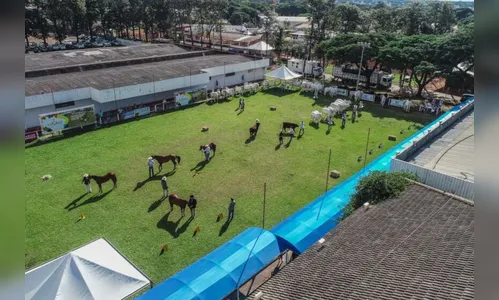 Turismo rural será foco do IDR-Paraná na Expoingá 2023