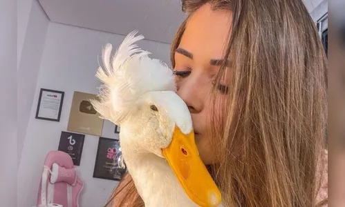 Patolino: influenciadora oferece R$ 30 mil por marreco desaparecido