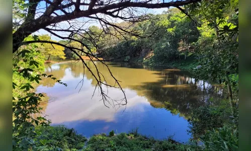 Com investimento de R$ 2,3 milhões, IAT revitaliza Parque dos Pássaros