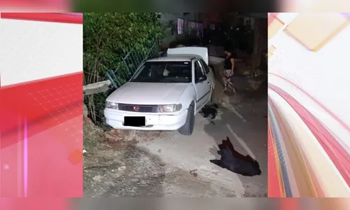 Carro fica sem gasolina, idoso o empurra e acaba atropelando a esposa