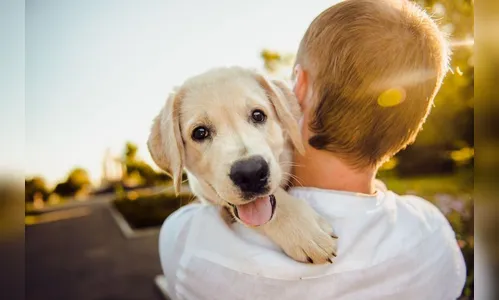 Homem leva cachorro em pet shop e animal não volta para casa; entenda