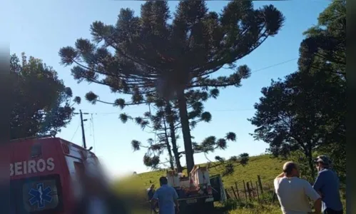 Homem morre após sofrer choque elétrico na colheita de pinhão