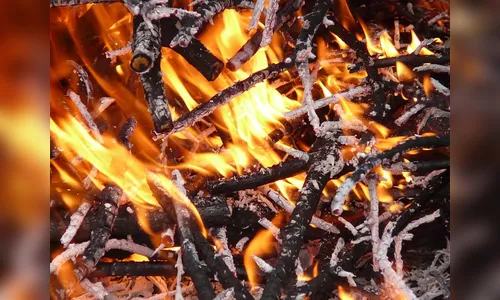 GM Arapongas flagra fogo a céu aberto, próximo ao Honpar