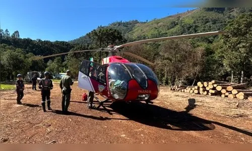 Homem é atingido por tronco de madeira durante corte de árvore no PR