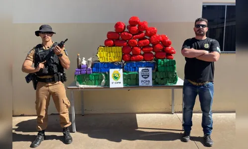 Polícias Militar e Civil apreendem mais de 200kg de drogas em Cianorte