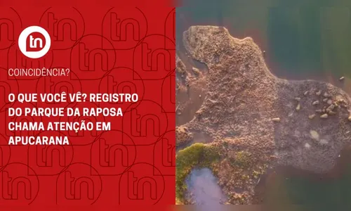 O que você vê? Registro do Parque da Raposa chama atenção em Apucarana