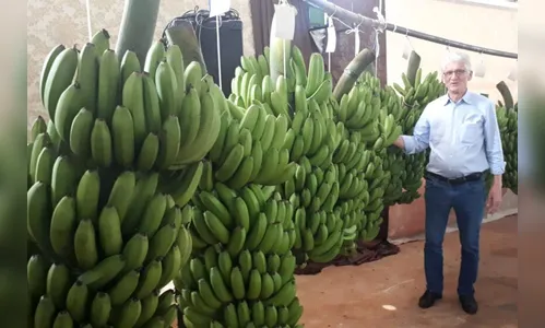 PR reforça apoio à agricultura familiar em eventos de Novo Itacolomi