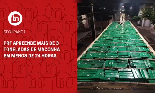 PRF apreende mais de 3 toneladas de maconha em menos de 24 horas