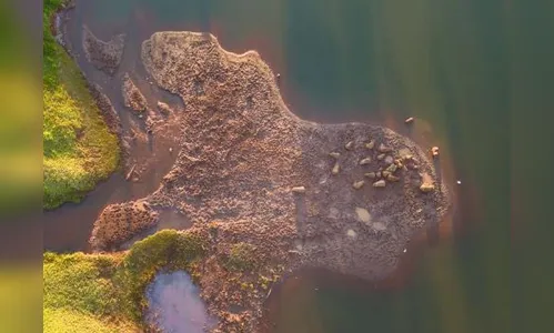 O que você vê? Registro do Parque da Raposa chama atenção em Apucarana