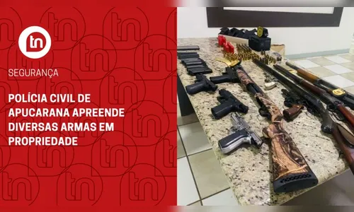 Polícia Civil de Apucarana apreende diversas armas em propriedade