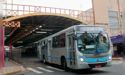 Relatório da  Viação Apucarana Ltda