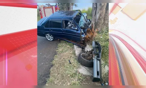 Motorista morre ao bater contra árvore na PR-525, em Cornélio Procópio