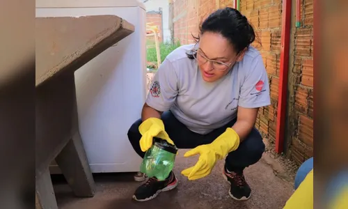 Arapongas registra 129 casos positivos de dengue