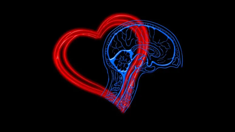 Imagem ilustrativa da notícia Vamos falar sobre Inteligência Emocional
