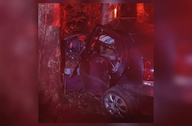 Pneu do carro que o jovem conduzia teria estourado e o veículo colidiu contra uma árvore