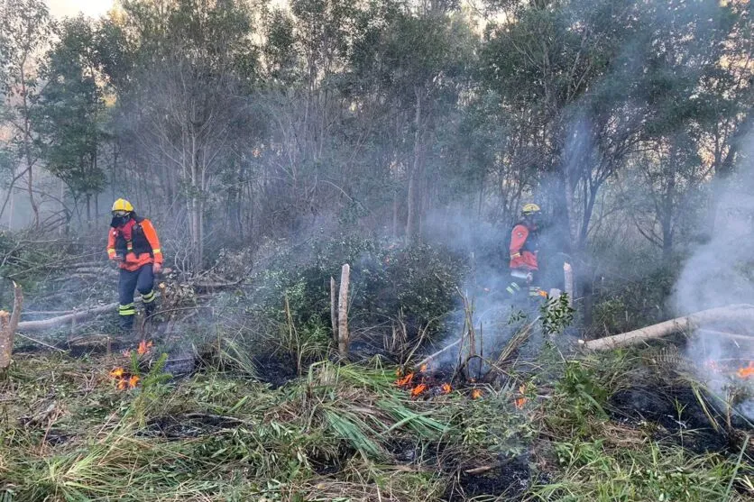 Bombeiros deram início à operação Quati João