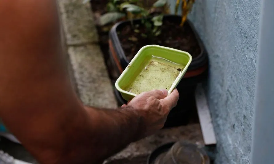 Casos de dengue aumentaram no município