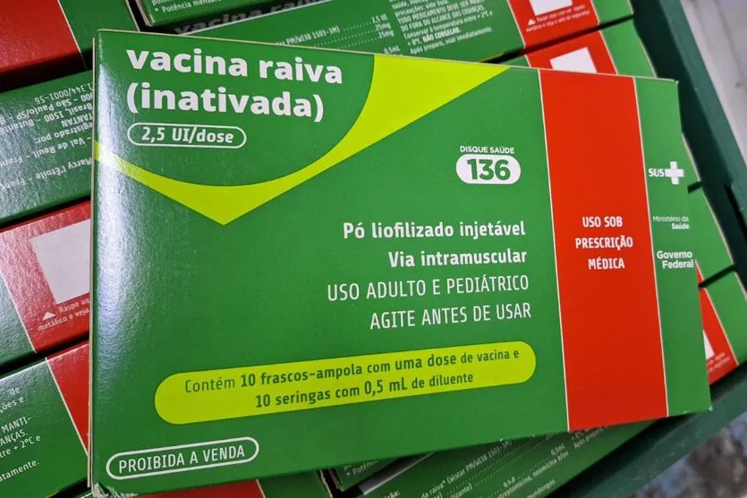 Estado recebe novas doses da vacina antirrábica humana e alerta para os cuidados com a doença