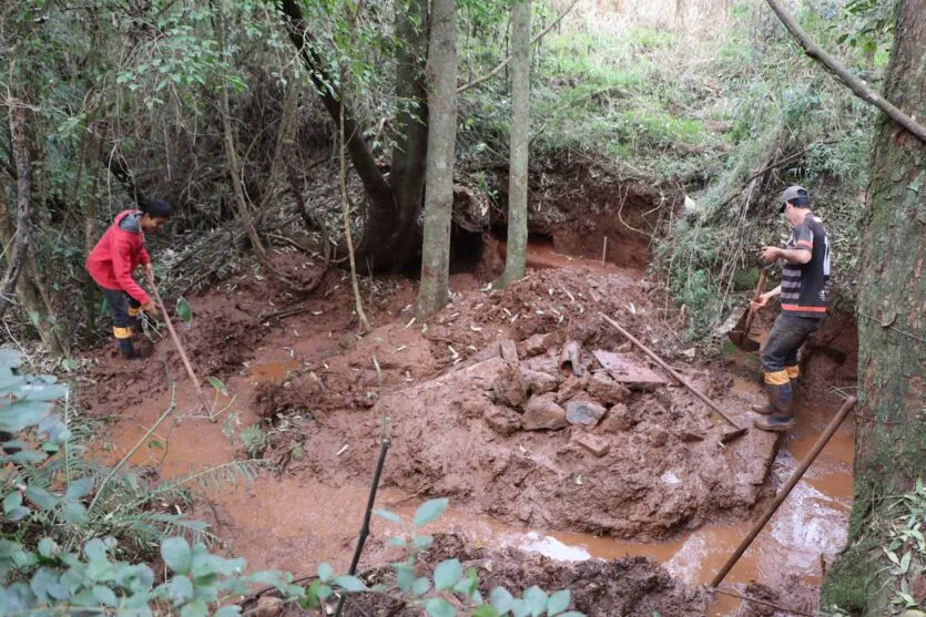 Programa Cultivando Água Limpa tem foco na revitalização das nascentes