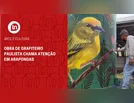 Obra de grafiteiro paulista chama atenção em Arapongas; veja