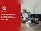 Quatro são presos em operação contra quadrilha de roubos na zona rural