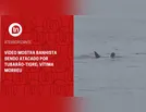 Vídeo mostra banhista sendo atacado por tubarão-tigre; vítima morreu