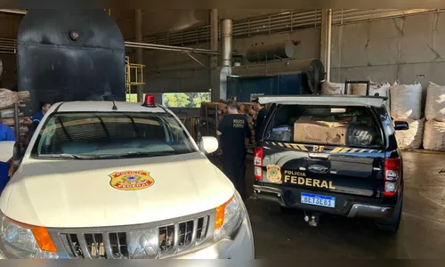 PF incinera mais de uma tonelada de drogas; veja trabalho dos federais