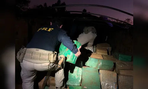 PRF faz maior apreensão de maconha do ano no Paraná