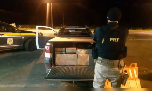 PRF apreende mais de meia tonelada de maconha no Porto Amazonas