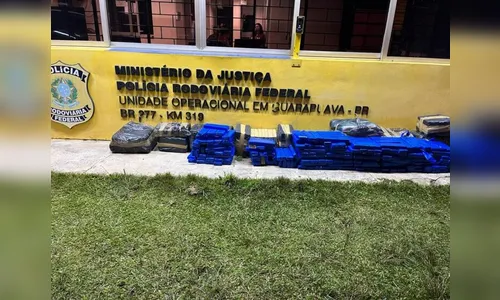 PRF apreende quase 400 kg de maconha no PR e prende duas pessoas