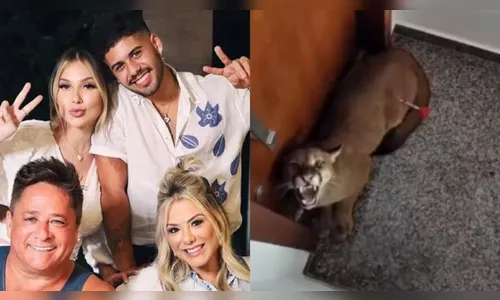 Onça parda invade condomínio das estrelas do sertanejo em Goiânia