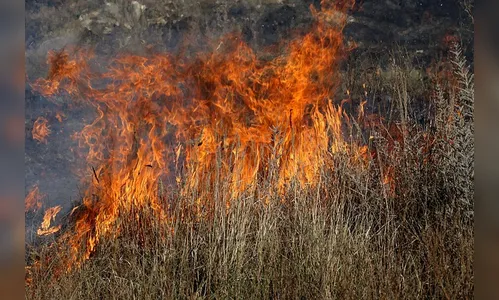 Incêndio às margens de rodovia mobiliza bombeiros em Apucarana