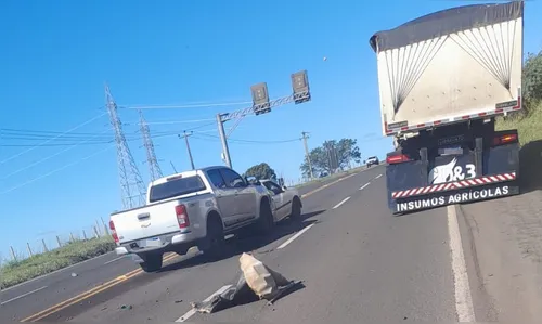 Colisão na PR-444 deixa dois feridos próximo a Mandaguari