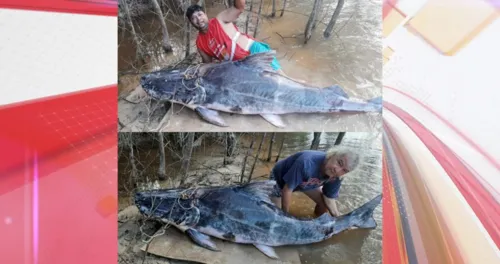 A pesca ocorreu na última quinta-feira (25)