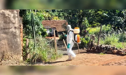 Ivaiporã entra em estado de epidemia de dengue, informa Sesa