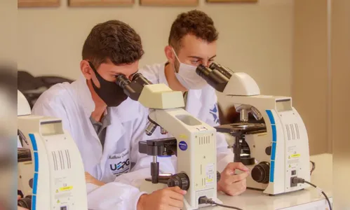 Paraná investirá R$ 4,4 milhões para fortalecer produção científica