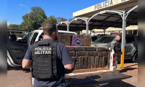 Apreensão de maconha cresce 65% no PR nos primeiros cinco meses do ano