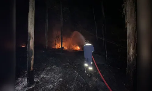 Incêndio atinge zona rural de Nova Tebas e mobiliza equipes do Vale
