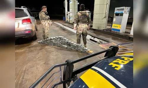 PRF apreende carga milionária de cocaína no Paraná; veja