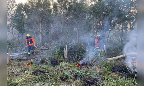 Corpo de Bombeiros lança operação contra incêndios florestais no PR