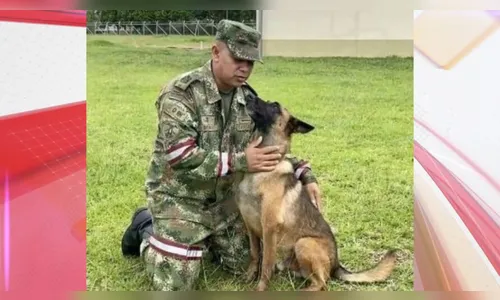 Colômbia procura cachorro herói que ajudou a encontrar crianças