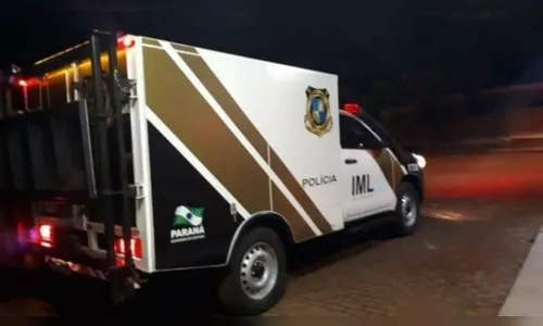 Dois corpos carbonizados são encontrados em carro incendiado na PR-323