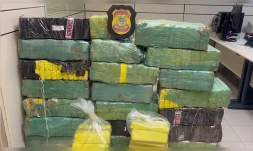 PF apreende 385 kg de maconha em Cambé; assista