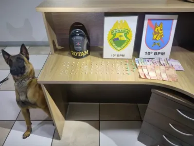 Droga foi localizada com ajuda do cão Buddy, do Canil da PM