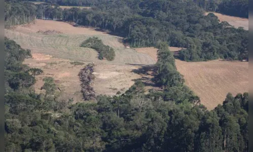 Caminhoneiro é assaltado e fica dois dias amarrado em mata no Paraná