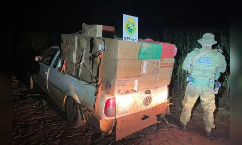 PM já apreendeu mais de 900 mil cigarros contrabandeados em 2023