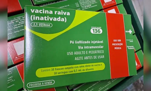 PR recebe mais doses da vacina antirrábica humana e alerta para doença